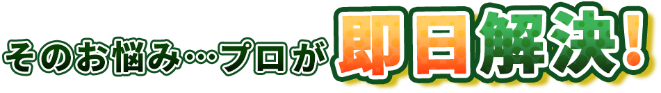 そのお悩み・・・プロが即日解決!